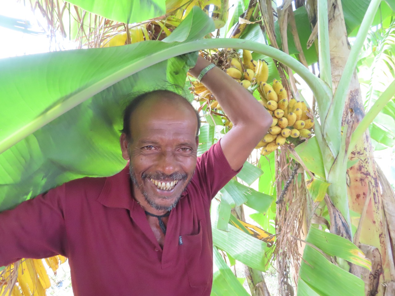 The Natural Switch: How The Mandal Family Turned To Accomplished Farmers!
